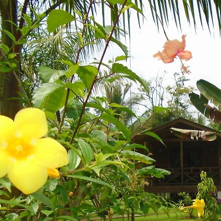 J And H Garden Cabinas Бокас-дель-Торо Экстерьер фото